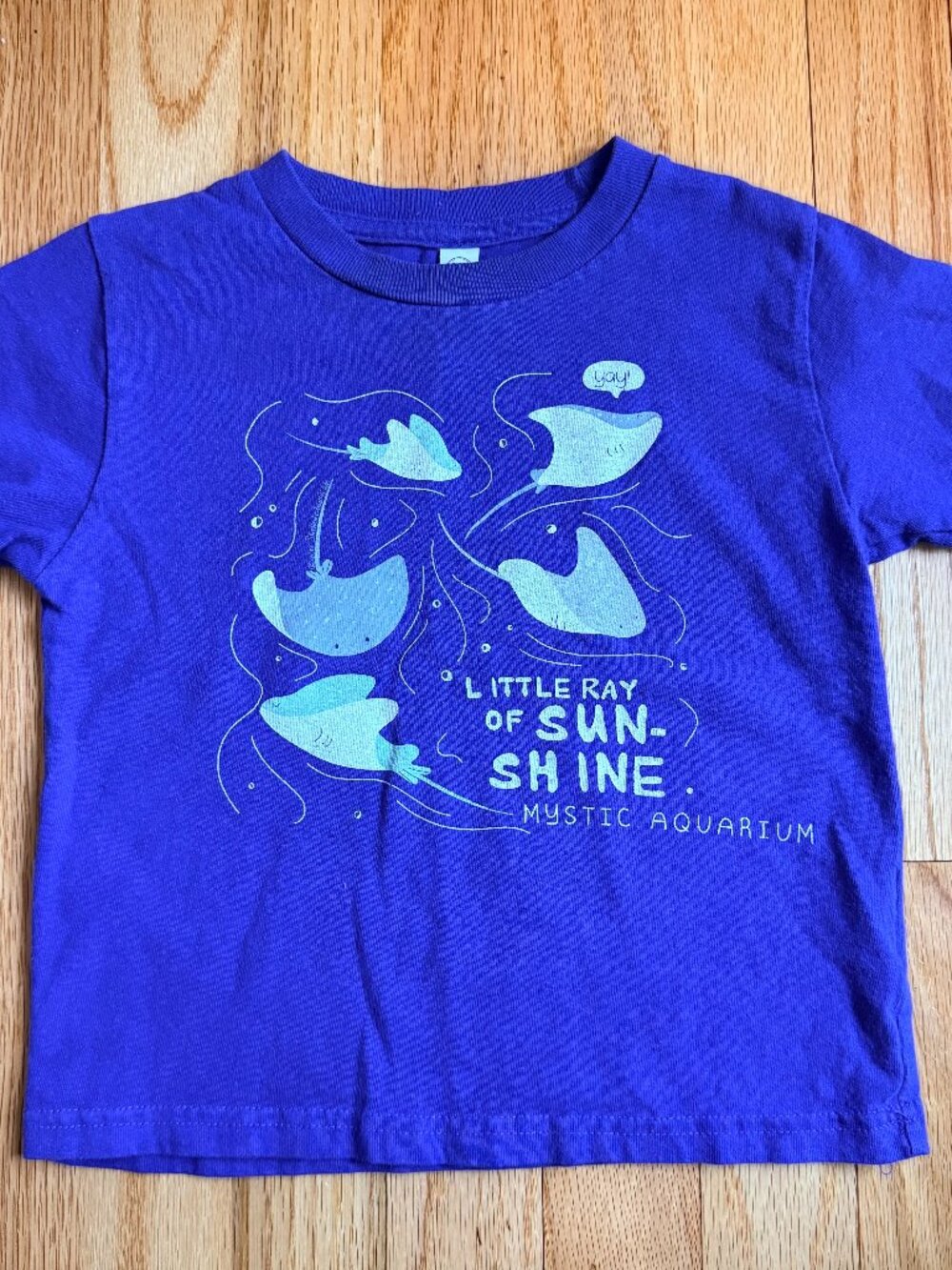 Mystic Aquarium Blue Size 4 Tshirt